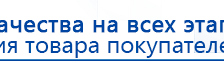 Электроды Скэнар -  двойной овал 55х90 мм купить в Хадыженске, Электроды Скэнар купить в Хадыженске, Нейродэнс ПКМ официальный сайт - denasdevice.ru